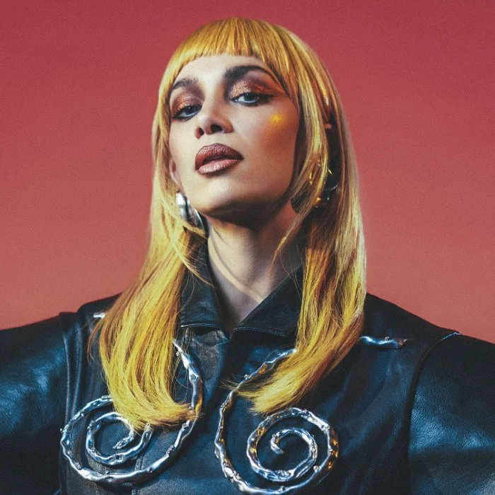 AGNES CHANTEUSE SWEDISH POP : BIOGRAPHIE DE L'ICONE DANSANTE