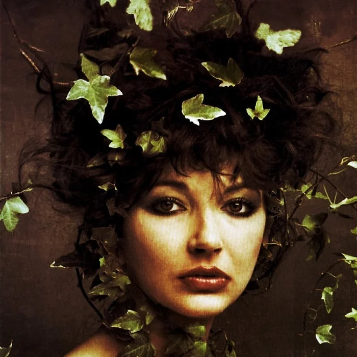 KATE BUSH BIOGRAPHIE COMPLETE : ARTISTE LEGEND ACADEMIE POP FRANCAISE