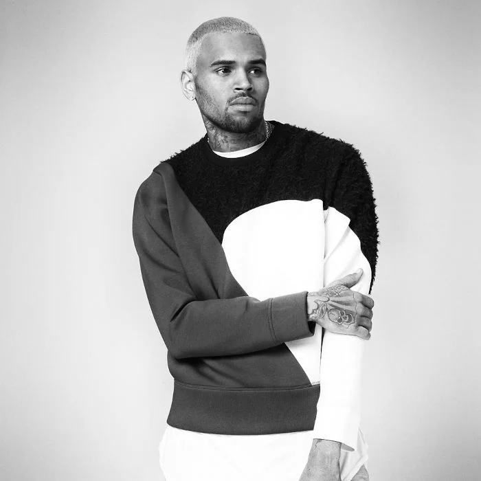 CHRIS BROWN : L'ICONE DU R&B