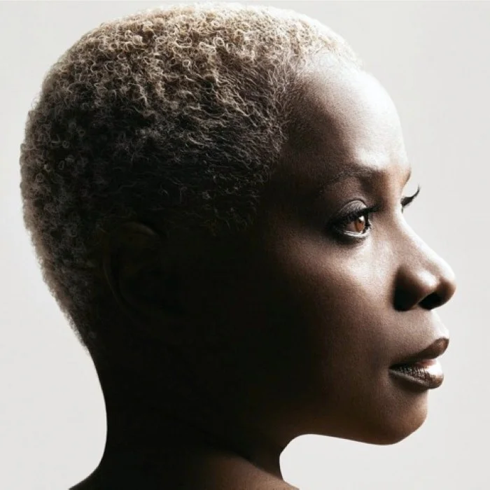 ANGÉLIQUE KIDJO : BIOGRAPHIE DE LA REINE DE L'AFROBEATS