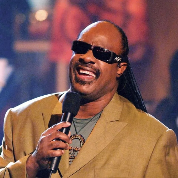 STEVIE WONDER : UNE LÉGENDE DE LA MUSIQUE