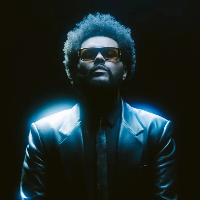 THE WEEKND : LE ROI DU R&B CANADIEN
