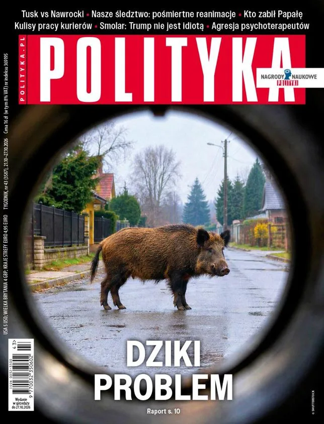 EN POLOGNE, LES SANGLIERS ENVAHISSENT LES VILLES