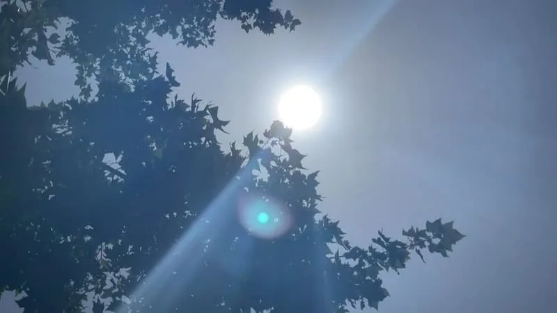 LA VIGILANCE JAUNE CANICULE ÉTENDUE À 13 DÉPARTEMENTS POUR LA JOURNÉE DE LUNDI