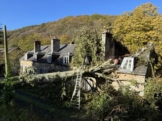 « DES ANNÉES DE TRAVAUX ONT DISPARU » : UN MANOIR NORMAND DÉVASTÉ PAR LA CHUTE D’UN ARBRE LORS DE LA TEMPÊTE AUSTEN