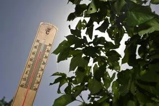 MÉTÉO : LA VIGILANCE JAUNE CANICULE ÉTENDUE À TREIZE DÉPARTEMENTS DE L’OUEST DE LA FRANCE