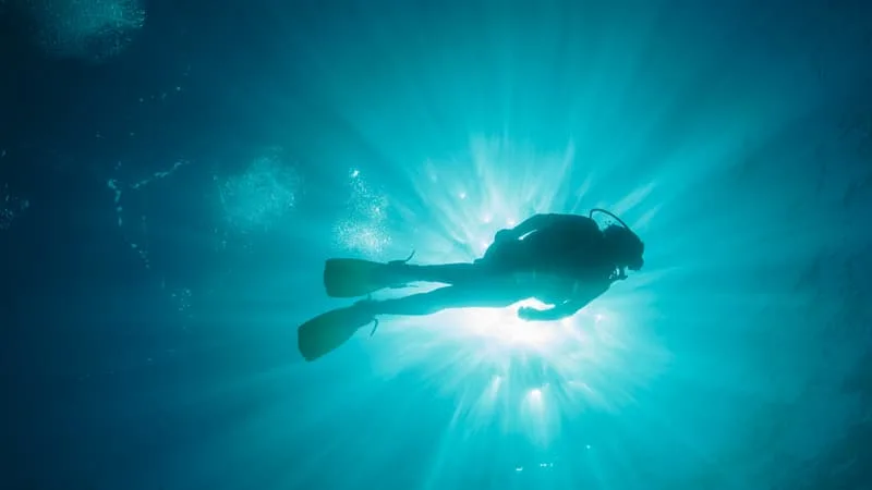 PLONGEURS ITALIENS MORTS AUX MALDIVES: LA THÈSE D’UNE ERREUR DE SORTIE DANS LA GROTTE SOUS-MARINE ÉTUDIÉE