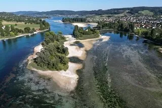 UN CORPS DÉMEMBRÉ RETROUVÉ DANS LE RHIN, LE COLOCATAIRE DE LA VICTIME ARRÊTÉ DANS UN CENTRE D’ASILE