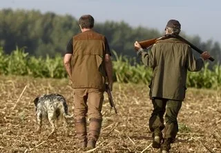 CHASSE : PLUS D’UN MILLION DE SANGLIERS TUÉS EN FRANCE CETTE SAISON, UNE AUGMENTATION DANS LE MAINE-ET-LOIRE